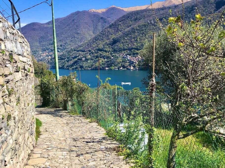 Romantic Home Stone With Amazing View Lake Of Como And Oleandra 라글리오 외부 사진