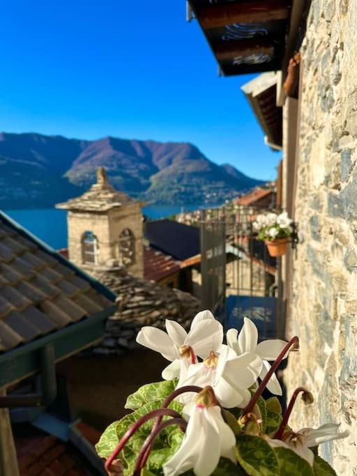 Romantic Home Stone With Amazing View Lake Of Como And Oleandra 라글리오 외부 사진