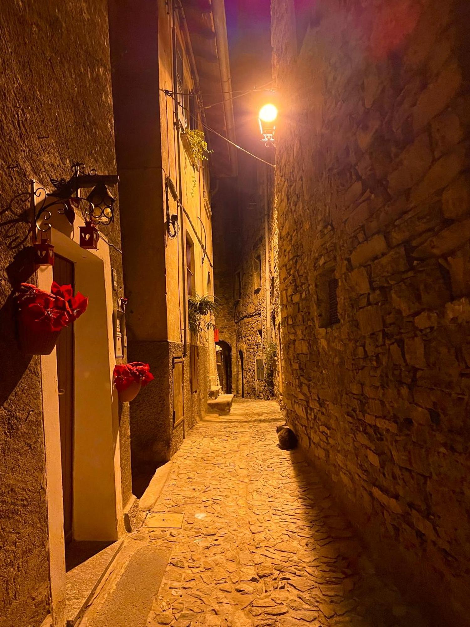 Romantic Home Stone With Amazing View Lake Of Como And Oleandra 라글리오 외부 사진